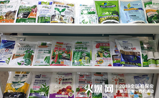 灞变笢閭d紭鐢熺墿2.jpg