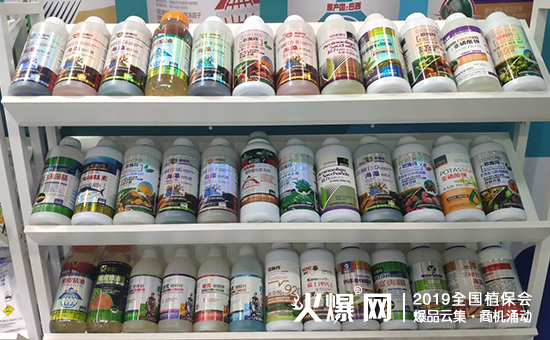 灞变笢閭d紭鐢熺墿4.jpg
